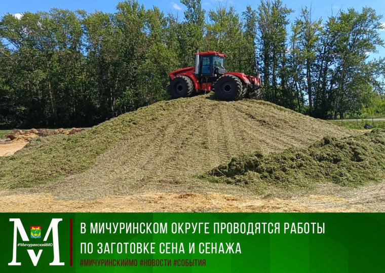 В Мичуринском округе проводятся работы по заготовке сена и сенажа. В Мичуринском округе проводятся работы по заготовке сена и сенажа.